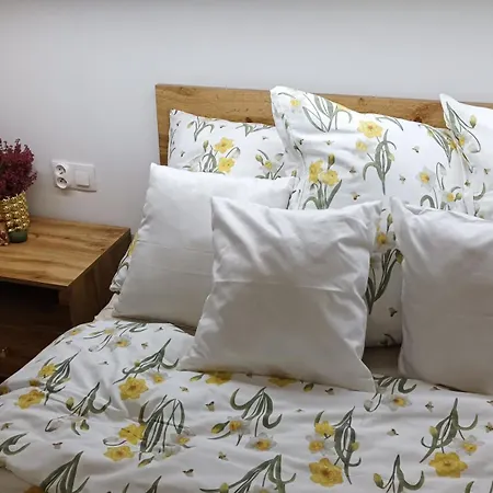 Apartment Sztygara Mikolow